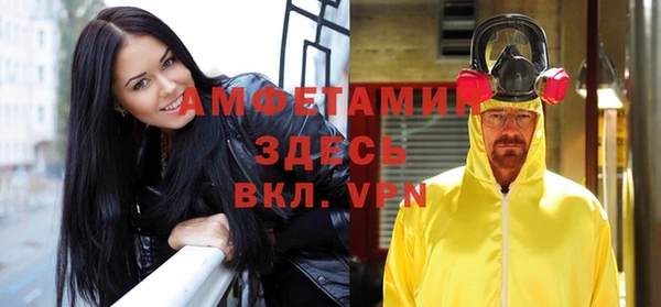 индика Белоозёрский