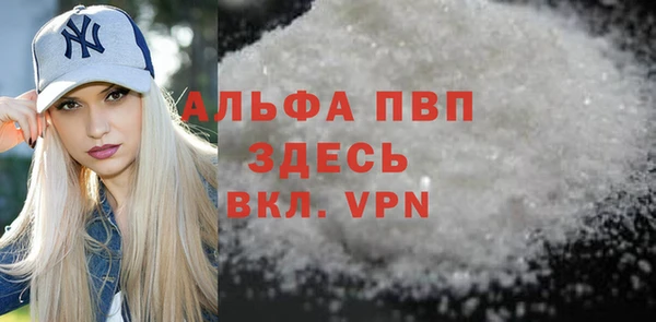 хмурый Белокуриха