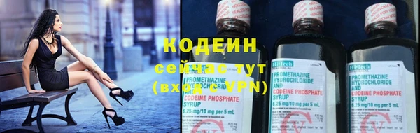 индика Белоозёрский