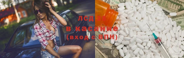 хмурый Белокуриха