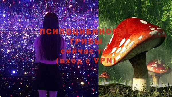хмурый Белокуриха