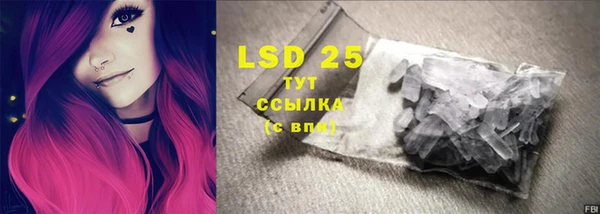 индика Белоозёрский
