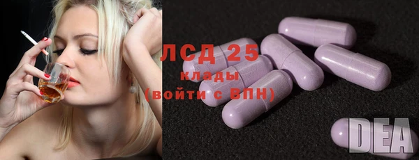 индика Белоозёрский