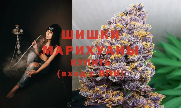 индика Белоозёрский