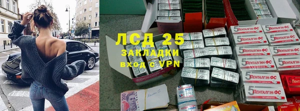 индика Белоозёрский