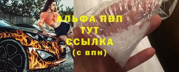 индика Белоозёрский