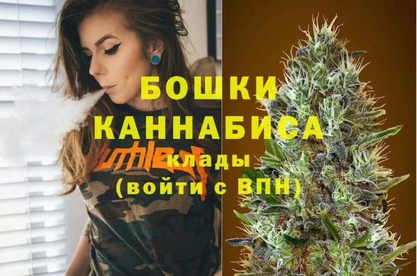хмурый Белокуриха