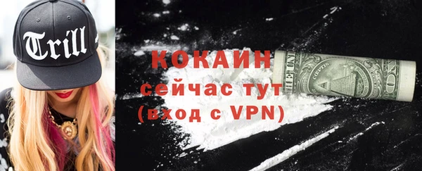 хмурый Белокуриха
