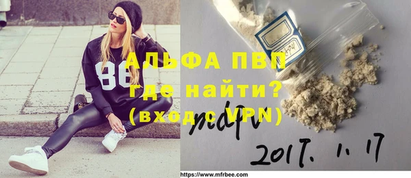 хмурый Белокуриха