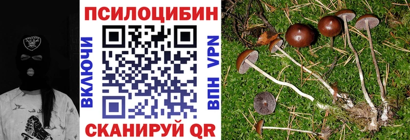 Галлюциногенные грибы мухоморы  OMG сайт  Цоци-Юрт  как найти закладки 